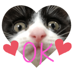 mizuki_20210102151201