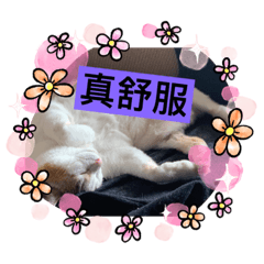 可♡動物♡肥♡