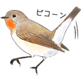 日本の野鳥3