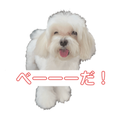 YAMADA_20210102105817