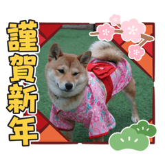 rina_20210102211304
