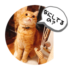 saya_20210102225808