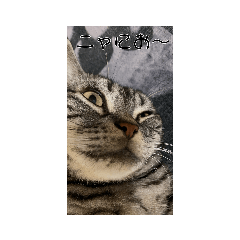 tetsu_20210103010325