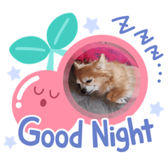 とてもかわいいチワワちゃん2 Lineクリエイターズスタンプ Stamplist