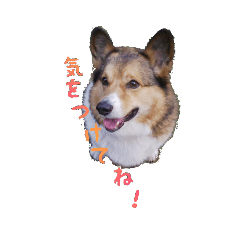 ryoko_stanp