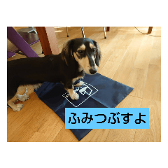 kazuki_20210102213130