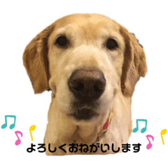 Nanami_20210102175058