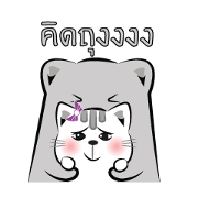 Cat-ty & Bear-ry +