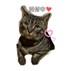 NOZOMI_20210103130133