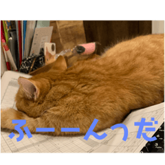 saya_20210103134600
