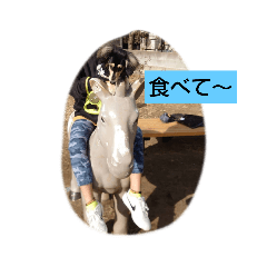 kazuki_20210103105036