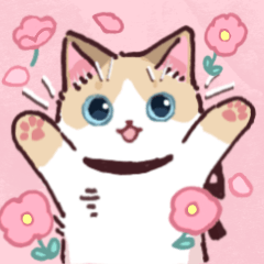 Feelings of cats <Assortment>