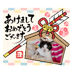 yukari_20210103150847