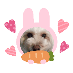 NANAMI_20210103165726