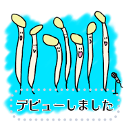 Plenty of vegetables and fruits