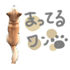 natsumi_20210103214920