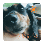 KINAKO_20210103221454