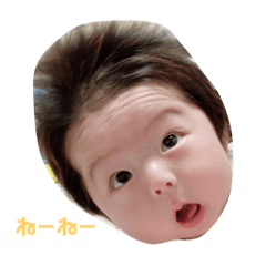 ponzu_20210103233539
