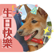 阿瑪的廢柴日常ʕ•ᴥ•ʔ