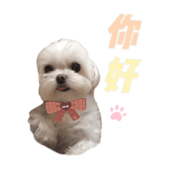 妮妮Nini來啦
