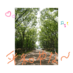 KAYO_20210104141238