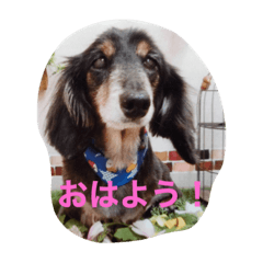 sayuri_20210104145342