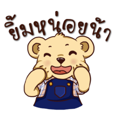 Teddy Bear Thailand