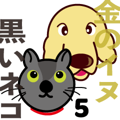Golden dog and Black cat5
