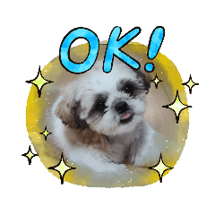 smile_20210104165405