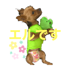 Mikabi_20210104170703