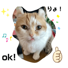 yukari_20210104204027