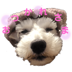 Omochi_20210104225931