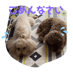 michiko_20210104180516