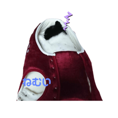 arisa_20210104192820