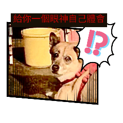 土城國小