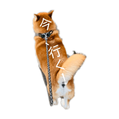 arisa_20210104232533