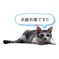 Olivia_20210105004153