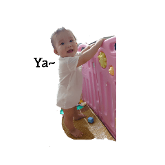 小阿肥一歲紀念