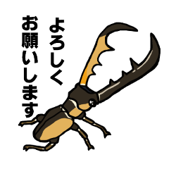 beetle and stag beetle(daily life's)