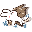 Rabbit / Cat 5