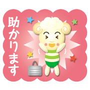 mini sheep boy