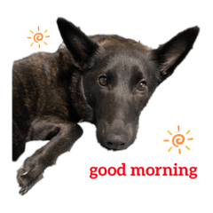 Hiyori_20210105162540