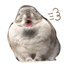 Yuina_20210105163518