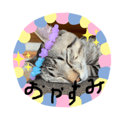 saori_20210105175238