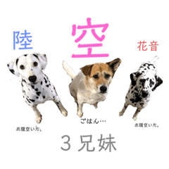 tomomi_20210105205739