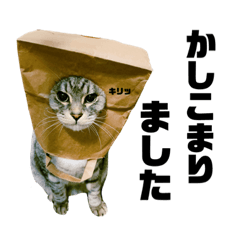 vol.3 Lovely kits "cat sticker"