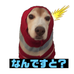 hana_20210106015845