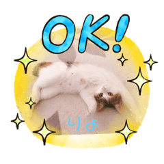 lilinosuke_20210105205234