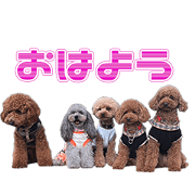 HMsama's Sticker