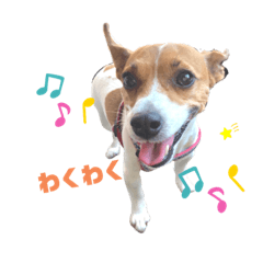 arisa_20210105233417